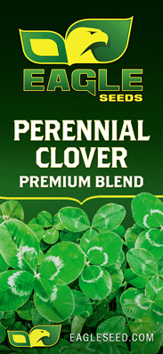 clover for deer food plots